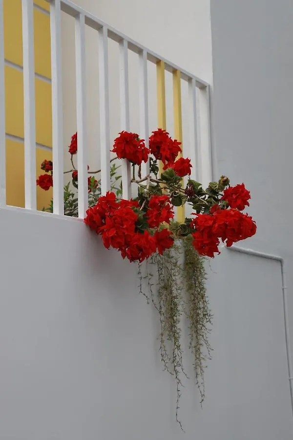 Bed & Breakfast Munnar Bnb